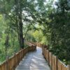 Primoplank Boardwalk Series WPC (Wood-Plastic Composite) Primoplank Boardwalk Series WPC (Wood-Plastic Composite)